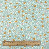 Coated  Cotton ARGEO Light Mint / Apricot